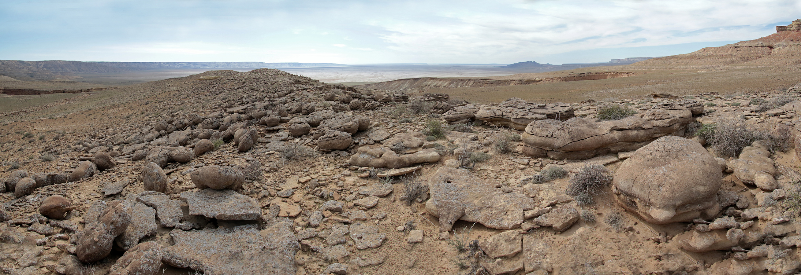 Landscapes of the Ustyurt Plateau